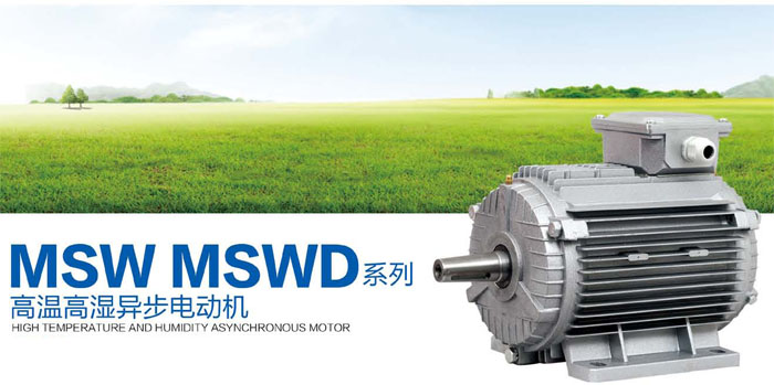 MSW MSWD系列高溫高濕異步電動機(jī)(圖1)